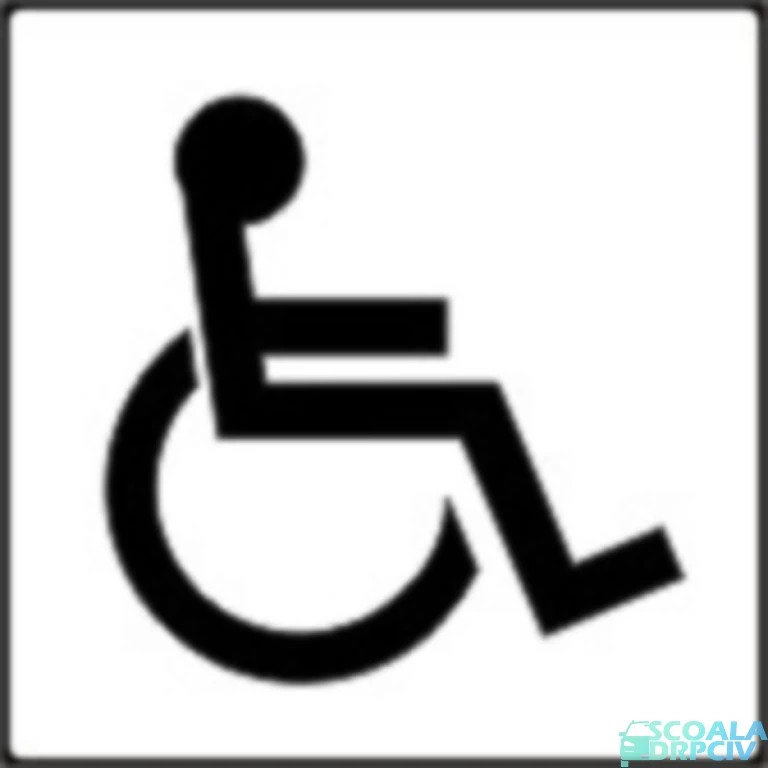 Persoane cu handicap